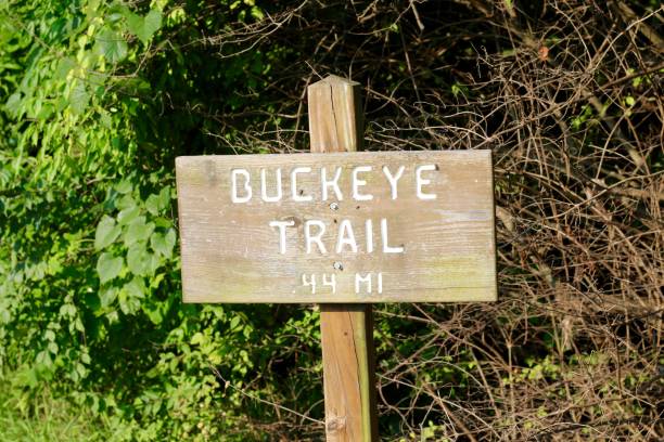 istock Old Wooden Trail Sign 1338729406