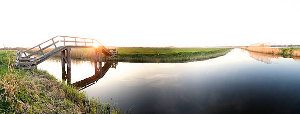 holandês dos polders - polder field meadow landscape imagens e fotografias de stock