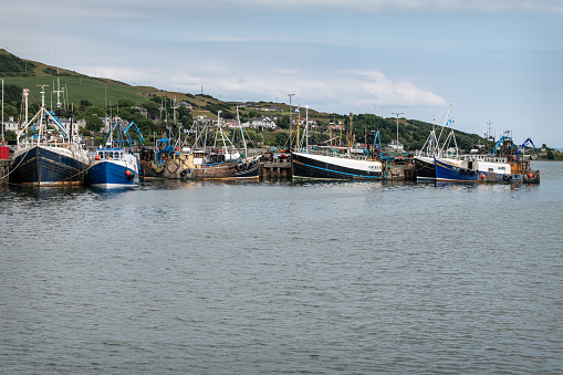 Fishing boats moored  in the harbour with Campbeltown in the background,  Argyll and Bute, Scotland