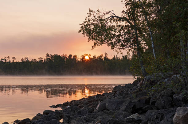 istock Sun Peeking Through the Tree and Morning Mist 1338735212