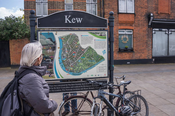 Poster with map in the Kew London, United Kingdom - may 09, 2014:  Woman consulting a map in Kew a major borough of Richmond kew gardens stock pictures, royalty-free photos & images