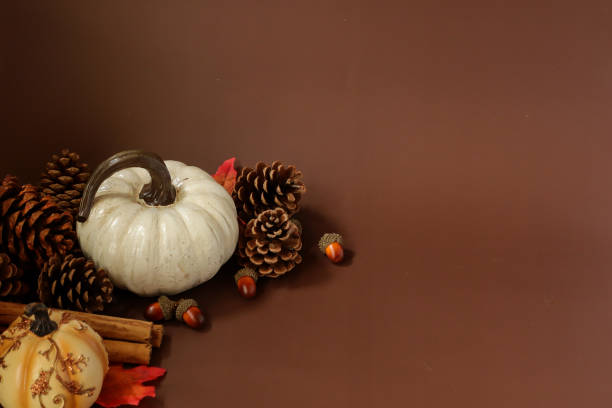 istock Pumpkins and pine cones on a brown background with copy space. 1338737233
