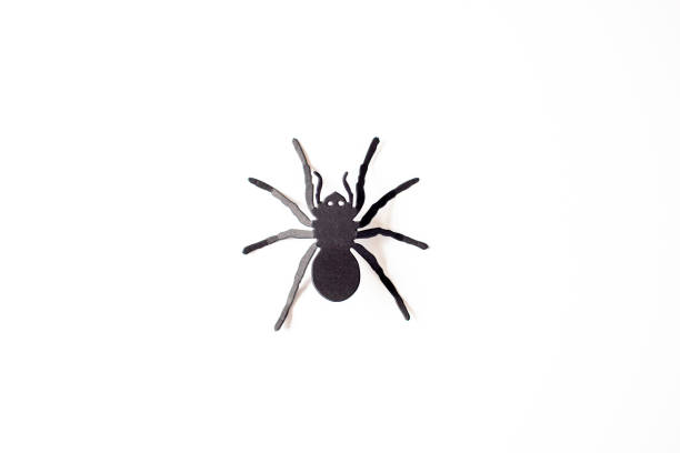 istock Hallowen decorations, black pumpkins on white background. Halloween concept. Flat lay, top view 1338737339