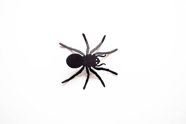 istock Hallowen decorations, black pumpkins on white background. Halloween concept. Flat lay, top view 1338737341
