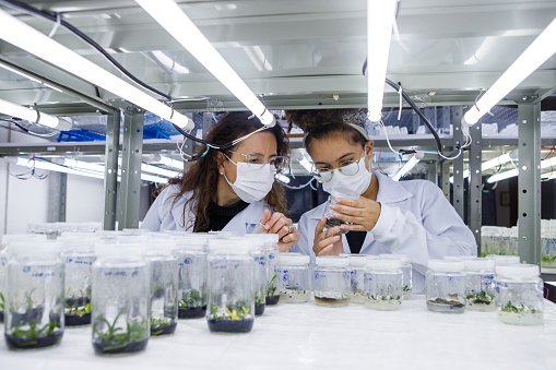 Student and teacher analyzing data using tablet in plant growth chamber