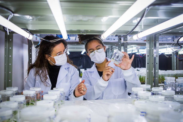 istock Student and teacher analyzing  plant growth chamber 1338737422