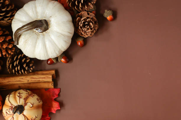 istock Pumpkins and pine cones on a brown background with copy space. 1338737512