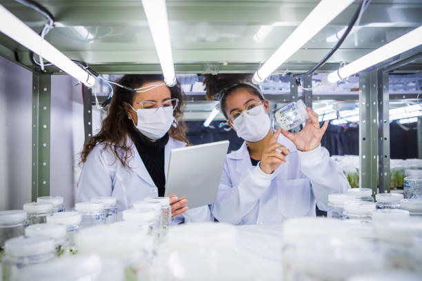 istock Student and teacher analyzing  plant growth chamber 1338737649