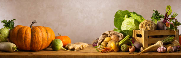 autumn harvest of different vegetables. - parsnip vegetable winter food imagens e fotografias de stock