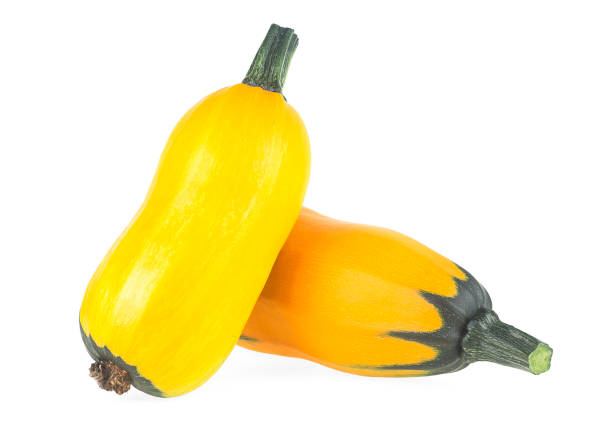 istock Fresh yellow zucchini fruit isolated on a white background. Yellow courgette. 1338739190