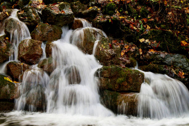 Stock photo showing close-up view of the Small Waterfall, Mells, Somerset, England, UK. Autumnal leaves fallen on mossy rock waterfall with tumbling water.