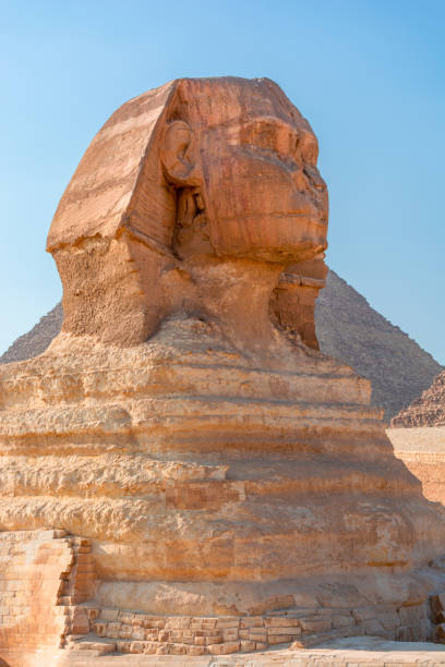 istock Sphinx in the Giza valley on a bright sunny day 1338744796