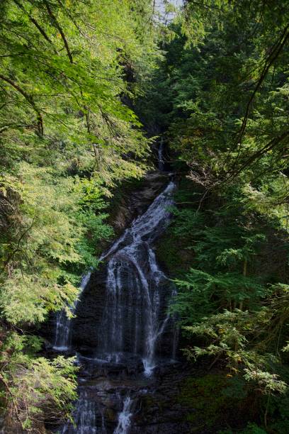 istock Moss Glenn Waterfall Stowe Vermont - II 1338745738