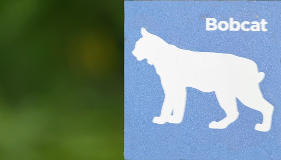 A hiking trail in the Smugglers’ Notch along the Brewster River has really cute animal ID signs for children and urban dwellers to recognize the different wildlife when they spot it. Here is the Bobcat sign
