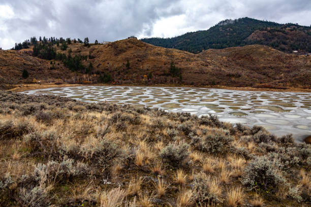 istock Spotted lake Osoyoos British Columbia 1338748628