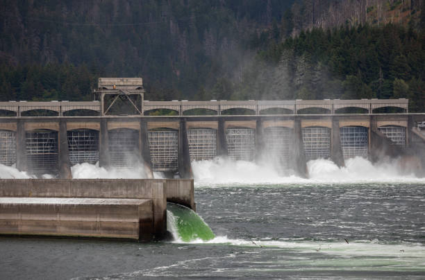 istock Bonneville Dam Spillway Washington. 1338749792