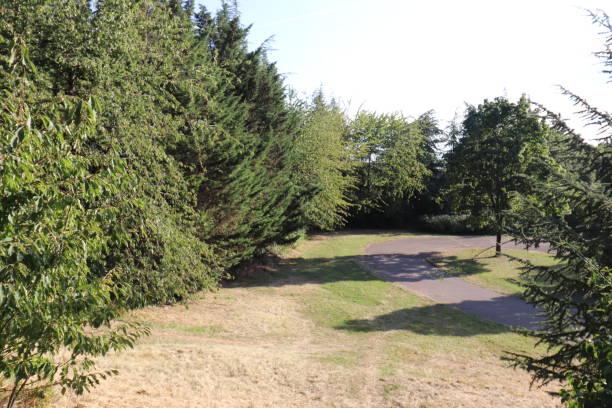 istock Dijon - Golden Fleece Park 1338751429