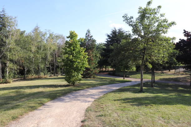 istock Dijon - Golden Fleece Park 1338751438