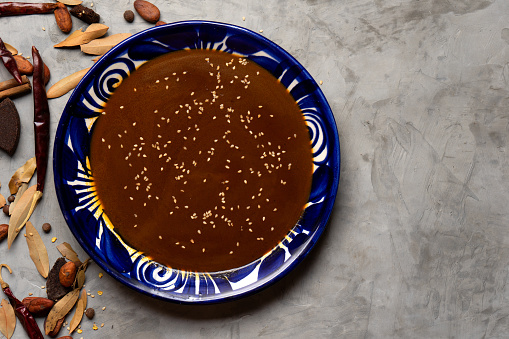 Traditional mexican food. Mole sauce and ingredients on grey background