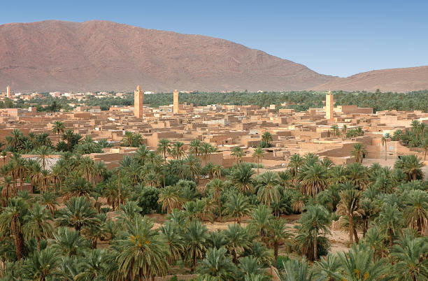 istock Palm grove of  Figuig in Morocco 1338758891