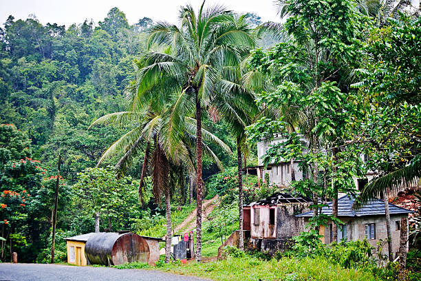 A small village, far away in the jungle.