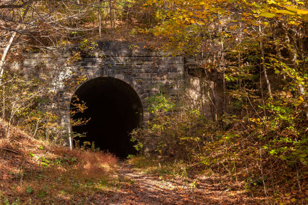 sentier du tunnel en automne - borehole construction environment boredom photos et images de collection