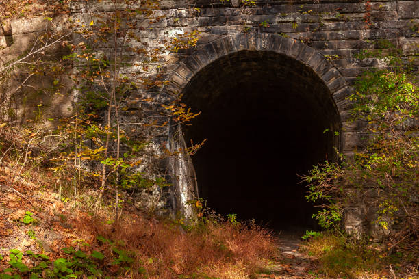 istock Tunnel Trail In Autumn 1338762381