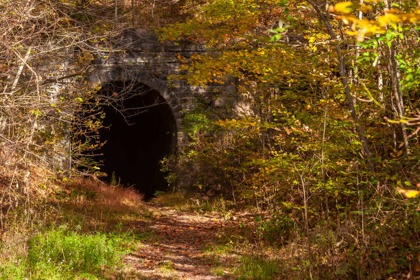 sentier du tunnel en automne - borehole construction environment boredom photos et images de collection