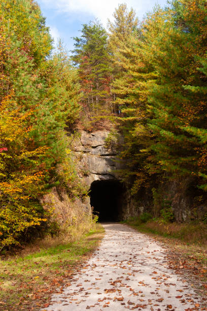 sentier du tunnel en automne - borehole construction environment boredom photos et images de collection