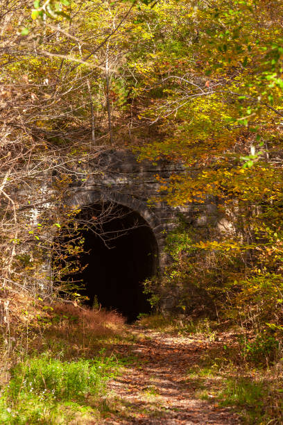 istock Tunnel Trail In Autumn 1338762417