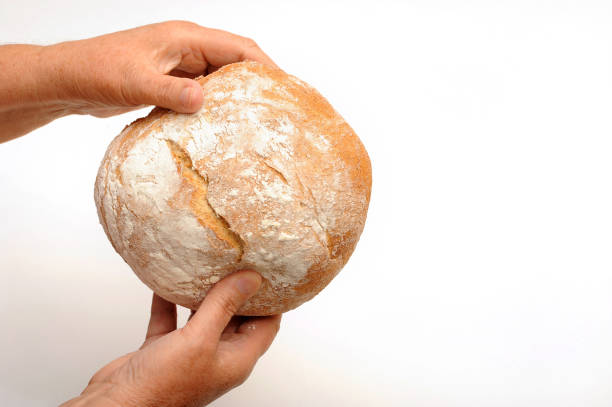 Traditional Serbian baked bannock bread in the hands of a baker