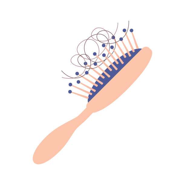 Hairbrush isolated, hair loss. Hairbrush comb isolated flat vector icon, hair loss illustration. a hairbrush stock illustrations