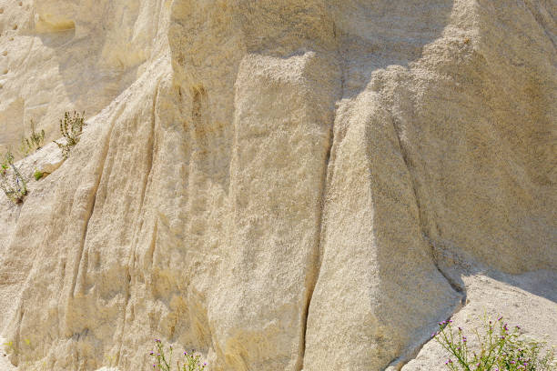 istock Limestone in the wild. Beautiful landscape background with natural stone. 1338764100