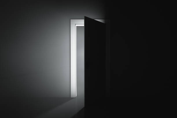 istock Open door to the room 1338764244