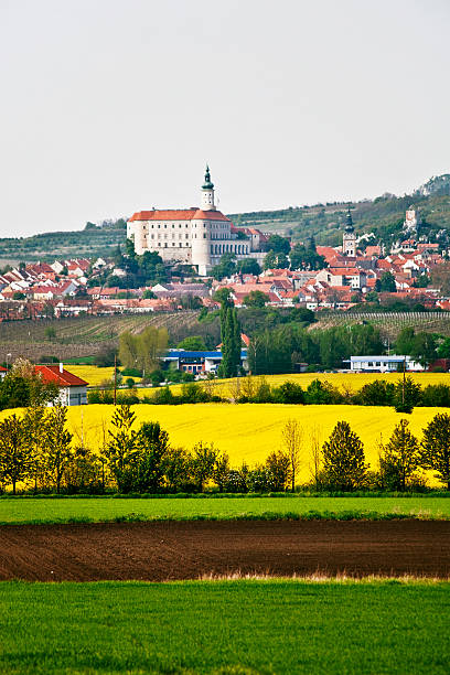 istock landscape with town and castle 133876502