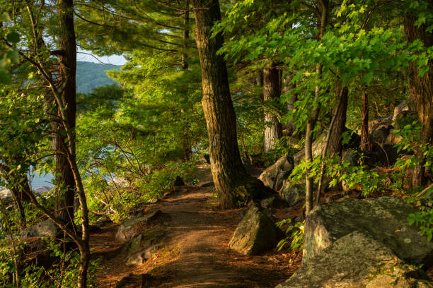 tumbled rocks trail around devils lake at sunrise. - devils lake imagens e fotografias de stock