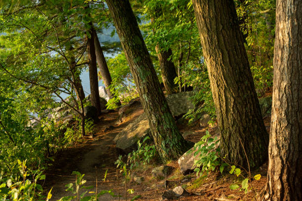 istock Tumbled Rocks trail around Devils Lake at sunrise. 1338772785