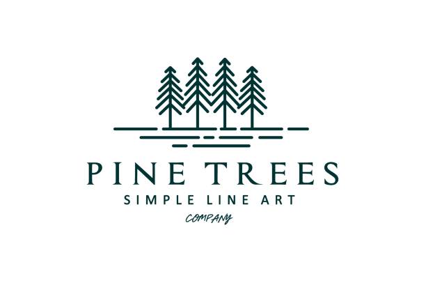 illustrations, cliparts, dessins animés et icônes de pin evergreen fir hemlock spruce conifer cedar tree forest vintage retro hipster line art logo design - larch tree