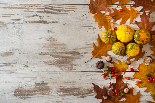 Autumn background with dry colourful leaves and seasonal fruits