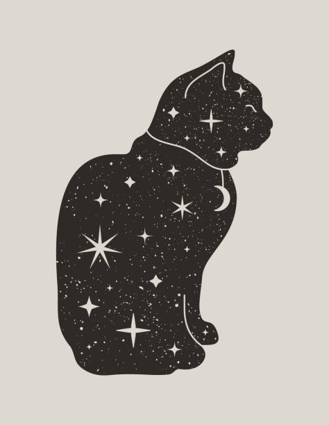 Mystical black cat in fashionable boho style. Vector magic cat silhouette with stars and Moon Mystical Black Cat in Trendy boho style. Vector magic cat silhouette with stars and Moon for printing on wall, T-shirt, tattoo, social media post and stories cat witch stock illustrations