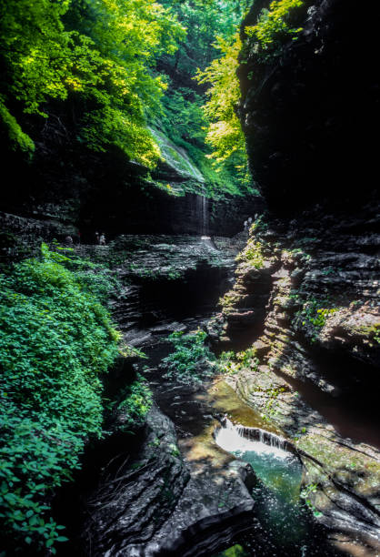 istock Watkins Glen SP - Lush Grotto Wide View - 1985 1338779190
