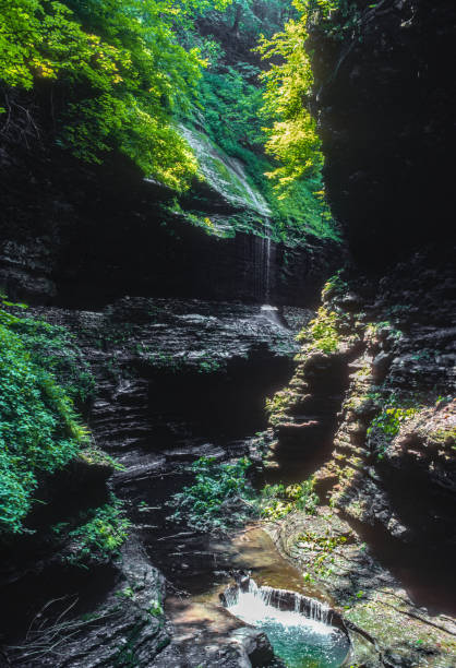 istock Watkins Glen SP - Lush Grotto - 1985 1338779274