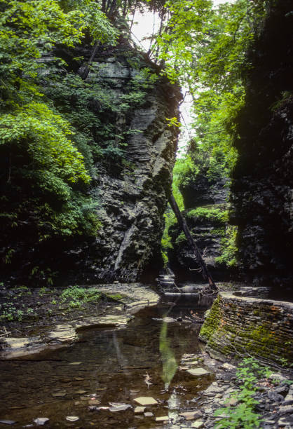 istock Watkins Glen SP - Water Flows Through Gorge - 1985 1338779990