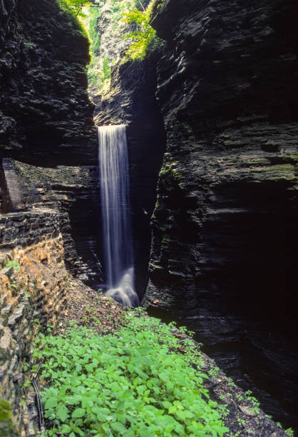 Watkins Glen SP - Waterfall Overlook - 1985