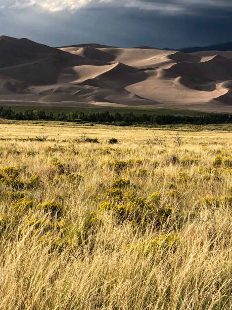 istock Large sand dunes at Colorado national park 1338780180