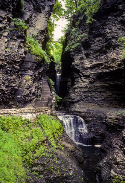 istock Watkins Glen SP - Staircase in Canyon - 1985 1338780799