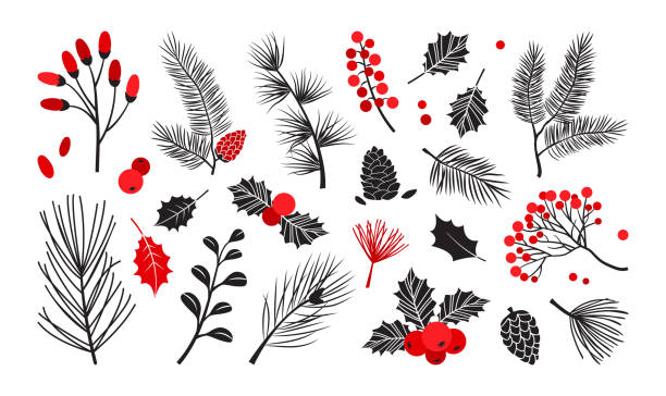 illustrations, cliparts, dessins animés et icônes de plantes vectorielles de noël, décor d’hiver de houx, arbre de noël, pin, branches de feuilles, ensemble de vacances isolé sur fond blanc. couleurs rouge et noir. nature vintage - sorbe