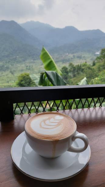istock A cup of hot cappuccino coffee 1338784979