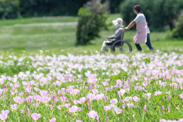 Japanese long-term care image