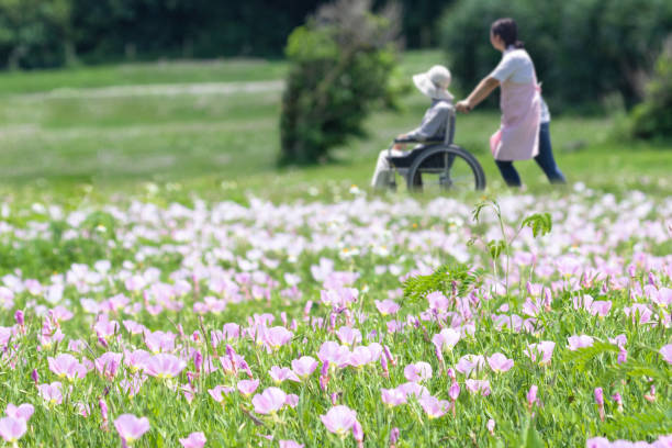 two wheelchairs walking in a flowering park - wheelchair disabled senior adult female nurse imagens e fotografias de stock
